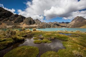 Agro Rural invertirá más de S/ 68 millones para aprovechamiento de agua de lluvia en 14 departamentos