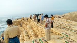 Agro Rural proyecta extraer más de 41.000 toneladas de guano nitrogenado en la presente campaña agrícola