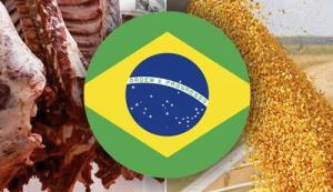 Agroexportaciones brasileñas alcanzaron US$ 82.000 millones en el primer semestre del 2025, mostrando una leve caída de -0-2%