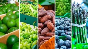 Agroexportaciones peruanas crecieron en valor 21.82% en 2024