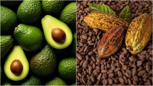 Agroexportaciones peruanas sumaron US$ 5.304.700.000 en la primera mitad de 2025, mostrando un aumento de 22.7% 