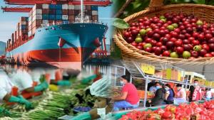 Agroexportaciones representaron el 13.43% del total de las exportaciones peruanas en el primer cuatrimestre de 2025