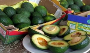 AGROEXPORTADORES VIAJARÁN A HOLANDA PARA IDENTIFICAR COMPRADORES