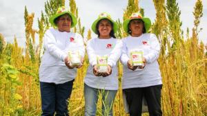 Agroideas aprobó 114 planes de negocio en Ayacucho desde el 2010 a la fecha, en beneficio de 3.798 pequeños productores
