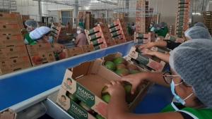 Agroindustria fue el rubro con el mayor número de empresas exportadoras en 2024