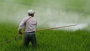Agroquímicos ilegales ya representan hasta el 25% del mercado en algunas regiones del Perú