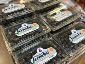 Agrovision busca revolucionar el panorama de los arándanos con sus Fruitist Jumbo Blueberries