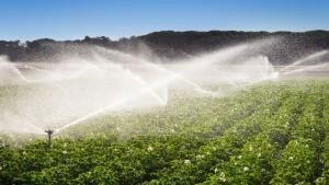AGUA PARA LA AGRICULTURA DEL PERU: URGE POLITICA DE ESTADO 2027-2036