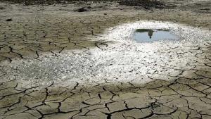 Alerta: prolongada escasez de humedad afecta desarrollo de campaña agrícola 2025-2026