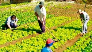 ANPE insta considerar la agroecología en el Plan Nacional de Agricultura Familiar