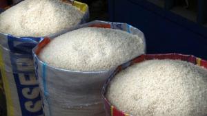 Apear estima una caída en la producción nacional de arroz de hasta 30% este año por exceso de lluvias y humedad