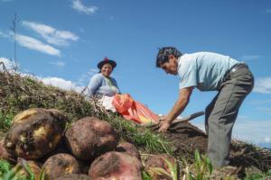 APEC 2024: Trujillo reunirá a 21 ministros de agricultura en Semana de la Seguridad Alimentaria