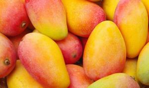 APEM: ningún producto de la canasta agroexportadora peruana ha recibido un impacto tan negativo como el mango