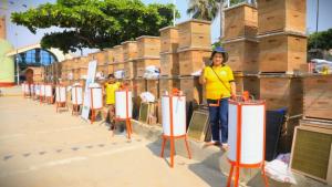 Apicultores de Mazamari y Pangoa proyectan producir 5.400 kilos de miel de abeja