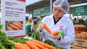 Aprueban nueva norma técnica para mejorar la calidad de la zanahoria en el Perú
