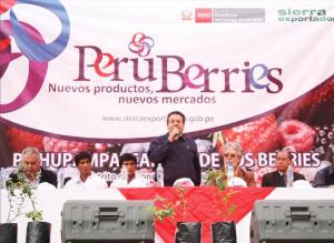 Arándanos, litio y alcachofas: los records que llevan a Perú a tomar la delantera