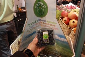 Arándanos representaron más del 50% de las exportaciones de Camposol en 2018