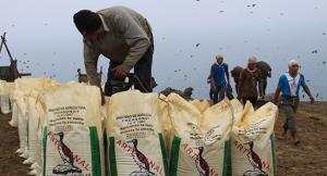 Arequipa: Agro Rural vende 270 TM de guano de la isla a agricultores