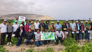 Arequipa: Capacitan a productores de Camaná para mejorar calidad genética del frijol