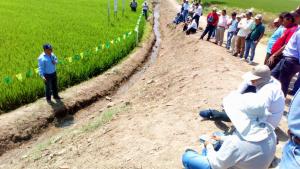 Arroceros conocen nuevas tecnologías para mejorar calidad y rentabilidad del arroz