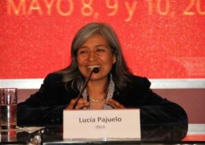 AVANZA EL USO DE SEMILLAS DE QUINUA DE CALIDAD 