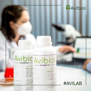 Avibiol Bioefector mejoró en 10% el rendimiento de VID QUEBRANTA, haciendo ajustes en las dosis de fertilización