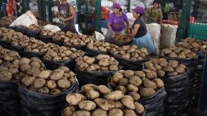 Ayer ingresaron más de 10.000 toneladas de alimentos a los mercados mayoristas de Lima