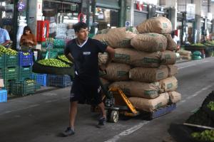 Ayer ingresaron más de 11.000 toneladas de alimentos a mercados mayoristas de Lima