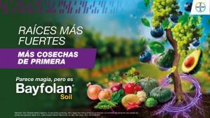 Bayfolan® Soil: la fuerza de una cepa única para construir raíces más productivas