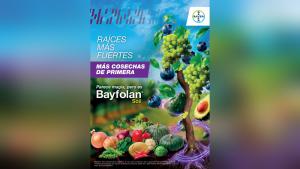 Bayfolan® Soil: la fuerza de una cepa única para construir raíces más productivas