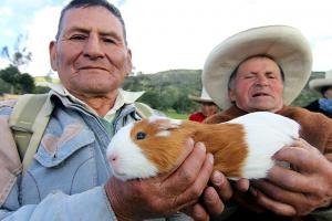 Beneficiarios de Pensión 65 reciben apoyo para el desarrollo de pequeños emprendimientos agropecuarios y acuícolas