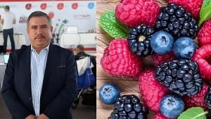 Berries se ubican entre los primeros cinco productos de agroexportación de México