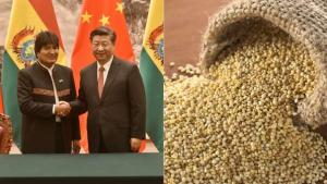 Bolivia envía sus primeras 40 toneladas de quinua a China a través del puerto peruano de Ilo