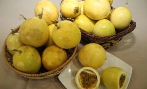 Buscan que Perú se mantenga como principal exportador mundial de maracuyá