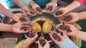 Cacaoteros de Piura tienen hasta mañana para participar en el Concurso Regional del Cacao
