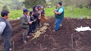 Cajamarca: INIA promueve tecnologías orgánicas para elevar la calidad de suelos en Jaén