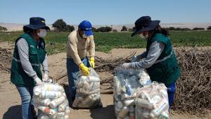 Campañas integradas recolectaron más de 700 kilos de envases vacíos de plaguicidas en Cañete