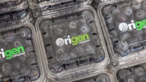 Camposol da un salto histórico en Berlín con el lanzamiento de Origen