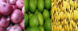 CEBOLLAS, LIMÓN Y BANANAS DE LAMBAYAQUE TIENEN POTENCIAL EN RUSIA