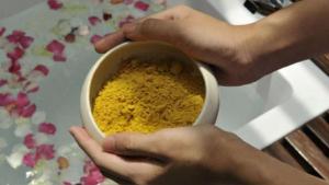 Chile: descubren que la cúrcuma tiene importante potencial en lucha contra el cáncer