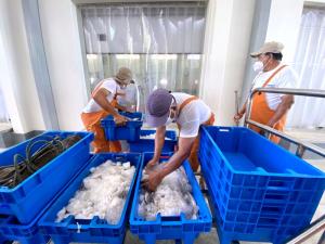 China cancela medidas de control de Covid 19 para productos hidrobiológicos que lleguen a su territorio