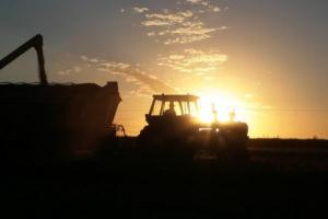 China contraataca: detiene sus compras de soya a Estados Unidos