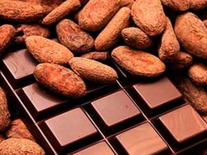 Chocolatería artesanal argentina importará cacao peruano para exportar tabletas a la India