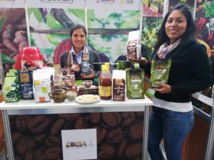 Cocla exportaría 60 mil quintales de café al cierre del año