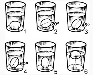 ¿Cómo saber si un huevo es seguro para su consumo?
