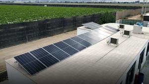 Complejo Agroindustrial Beta apuesta por la energía solar y da un paso clave hacia la sostenibilidad