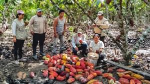 Comunidad nativa de Ucayali concreta venta de más de 10 toneladas de cacao de bosques conservados