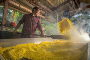 Comunidad ticuna lanzará fariña “Amarillita” al mercado nacional durante la Expoamazónica 2019