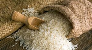 Congresista María Céspedes del Frepap pide al ministro de Agricultura explicaciones por incremento en importación de arroz