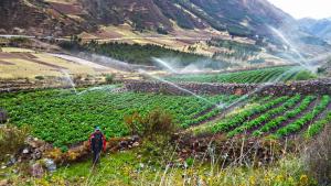 Congreso de la República promulga Ley del riego tecnificado